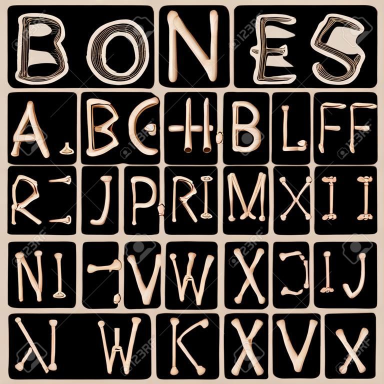 Bones Alphabet and numbers vector