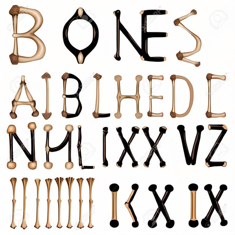 Bones Alphabet and numbers vector