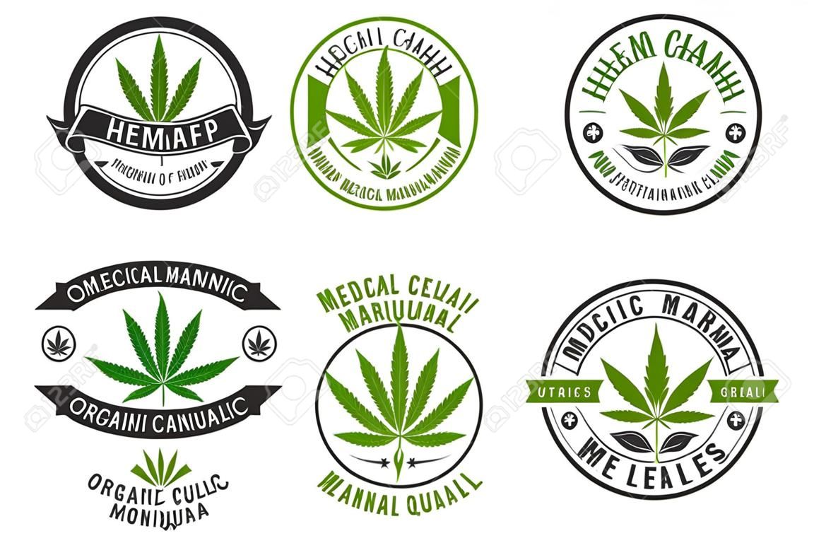 Étiquettes de produits de marijuana médicale avec des feuilles de chanvre biologique. Modèle de conception de logo de cannabis pour l'emblème, la thérapie médicale de bien-être, l'autocollant ou la publicité. Illustration vectorielle isolée