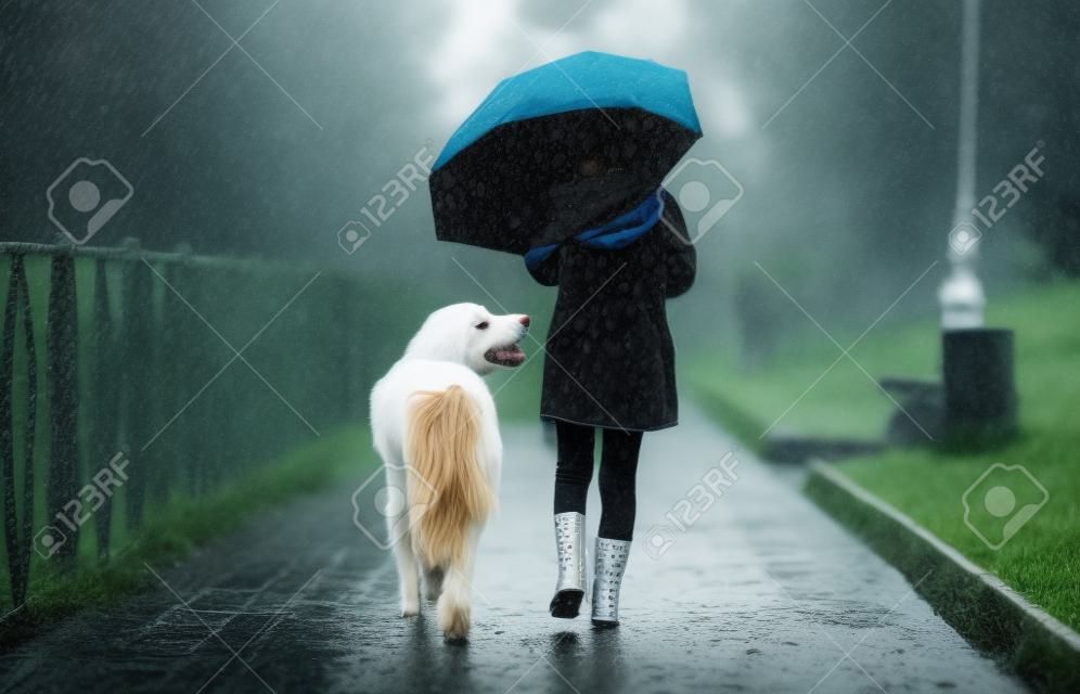 Mała dziewczynka wyprowadza psa w deszczu