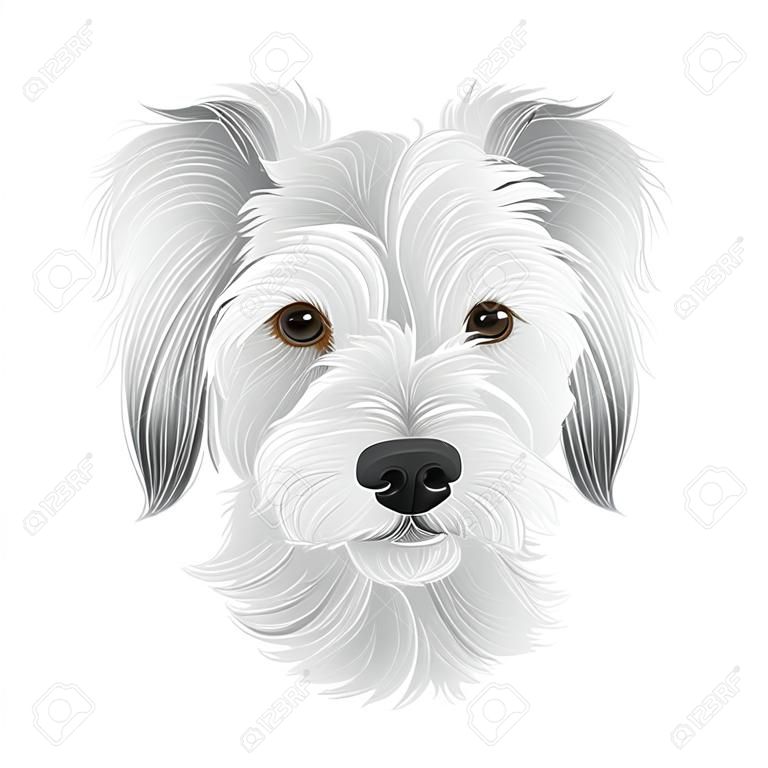 La testa di un tiraggio editabile della mano dell'illustrazione di vettore del piccolo terrier bianco