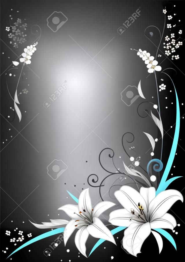 Vector background with flowers of lily in black and white for corner design