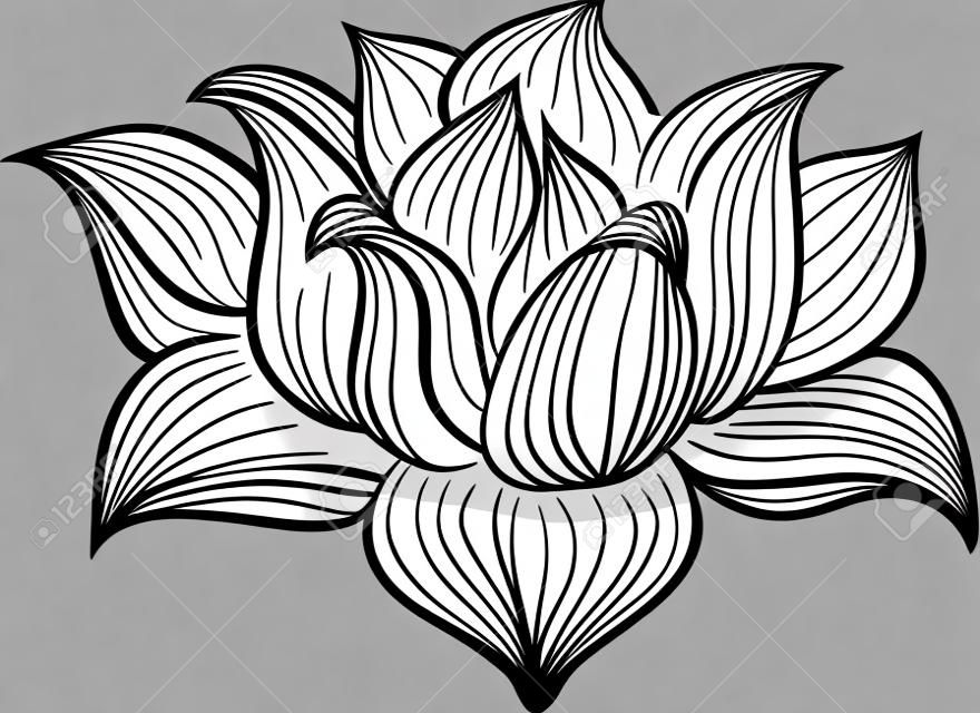 Черно-белый векторный цветок лотоса обращается в стиле эскиза. Линия искусства