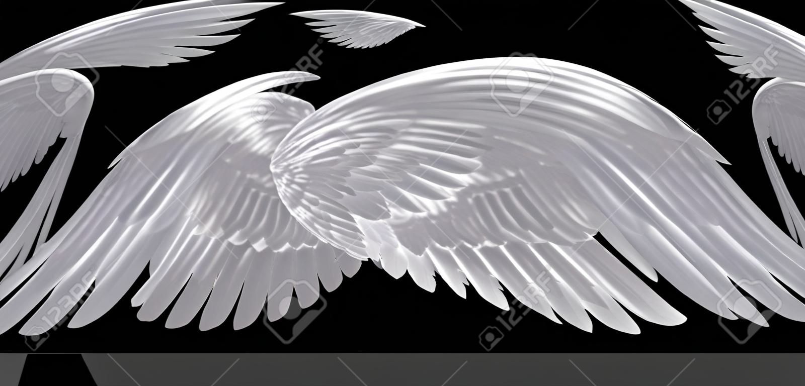 alas blancas aisladas sobre fondo negro