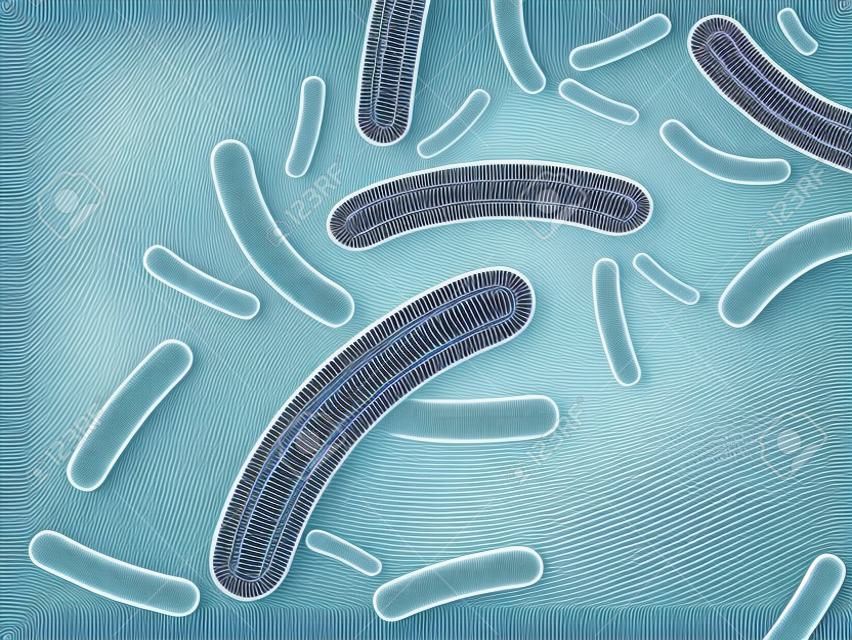 微细菌和治疗细菌有机体沙门氏菌乳酸杆菌或嗜酸性生物抽象生物载体背景