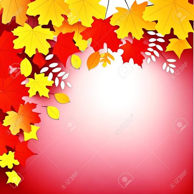 Colorful autumn maple leaves frame, vector illustration