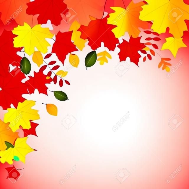 多彩秋天的楓葉框架，矢量插圖