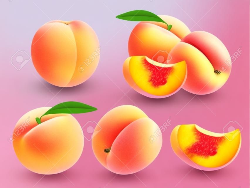 桃の甘い果実。リアルなイラスト