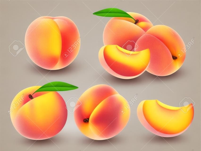 Peach Sweet fruit. Realistic illustration