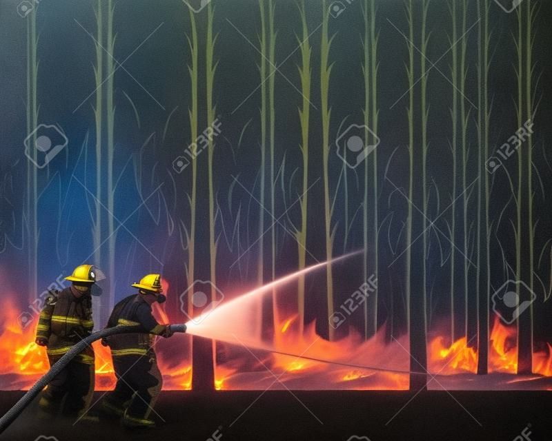 Two firemen carrying a water hose to put out a forest fire. Brave firefighter goes into smoke to put down a wildfire,