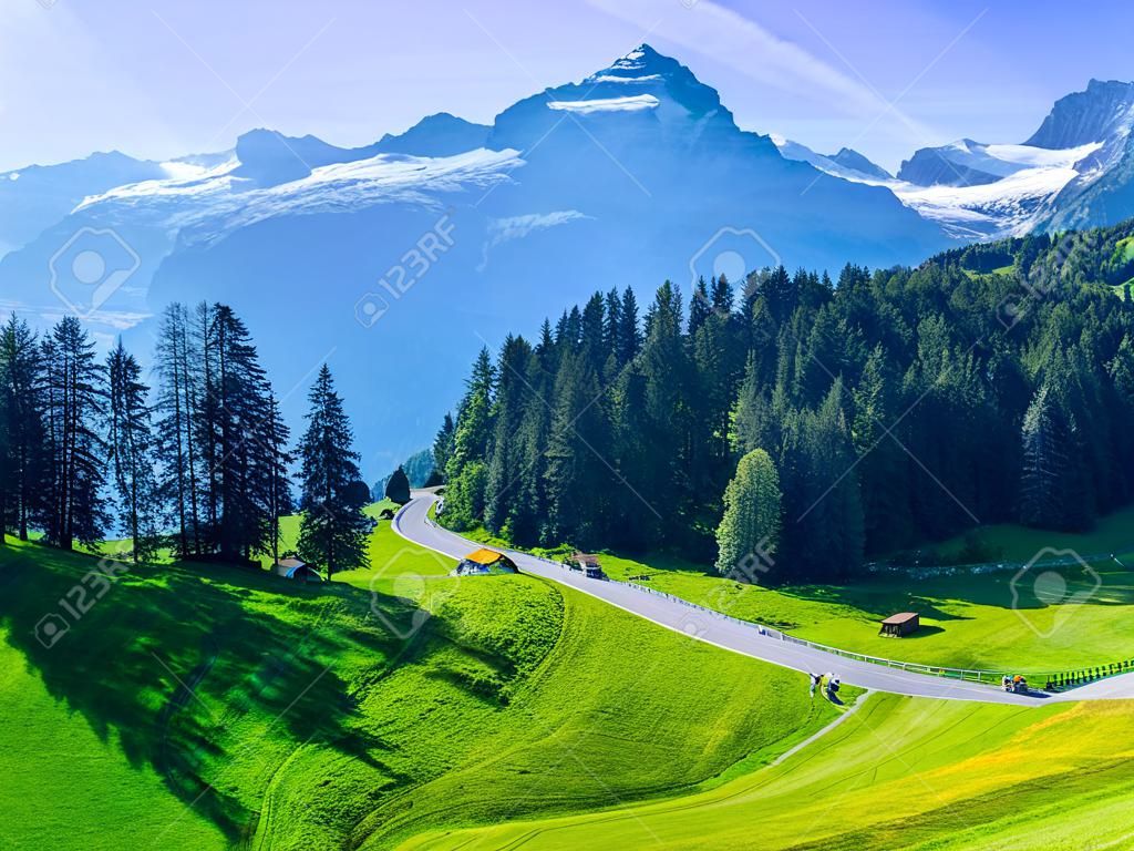 Svájci szépség, rétek alatt Jungfrau
