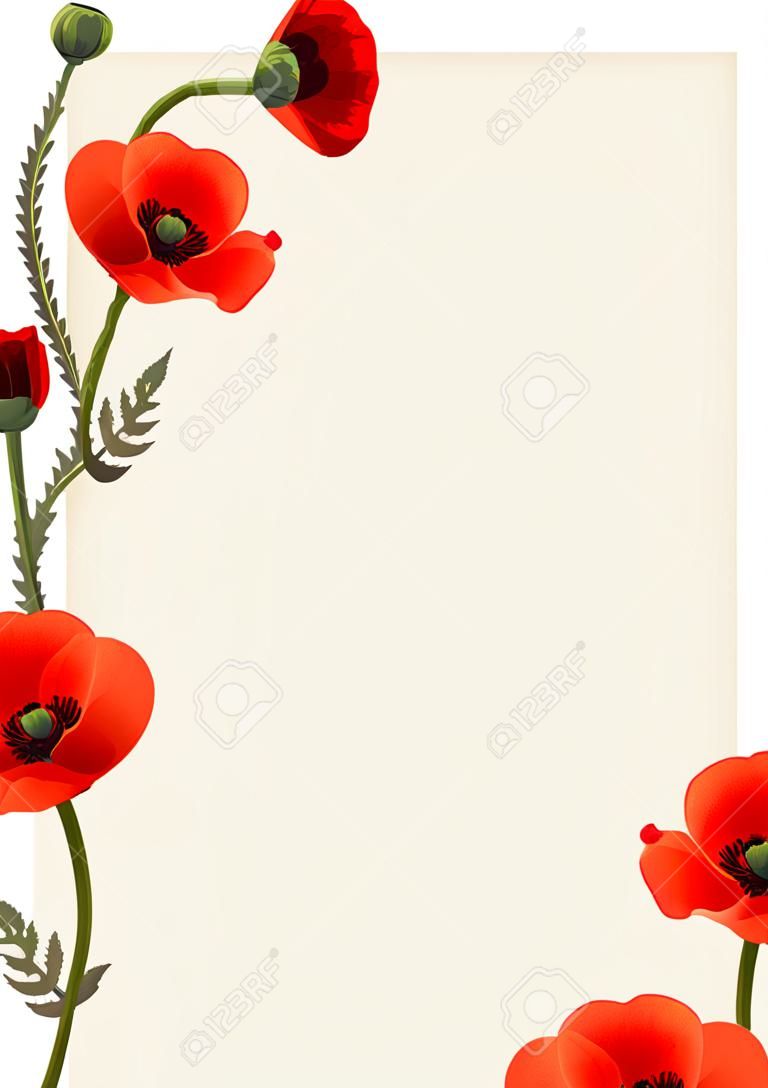 Frame with flowers. Red poppies. Greeting card