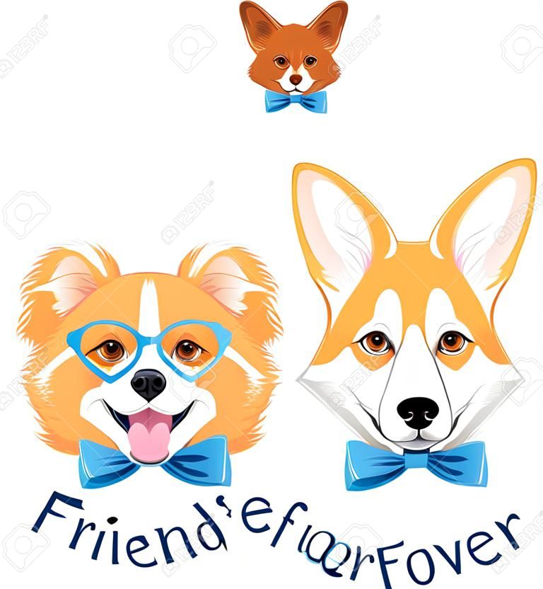 Funny friends forever. Ginger cat, welsh corgi and Pomeranian dog