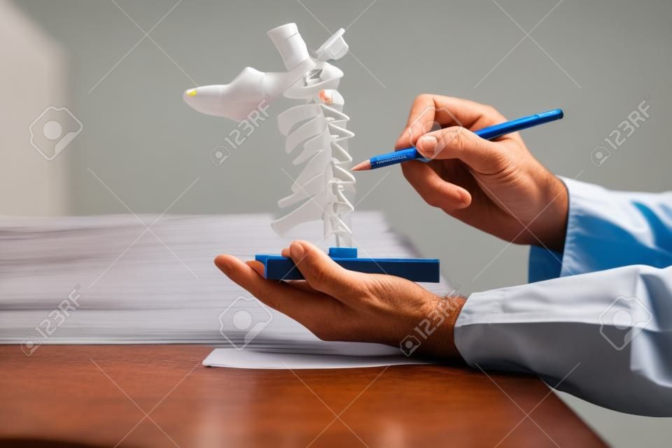 Médico con lápiz para demostrar la anatomía del modelo de columna cervical humana artificial en consultorio médico
