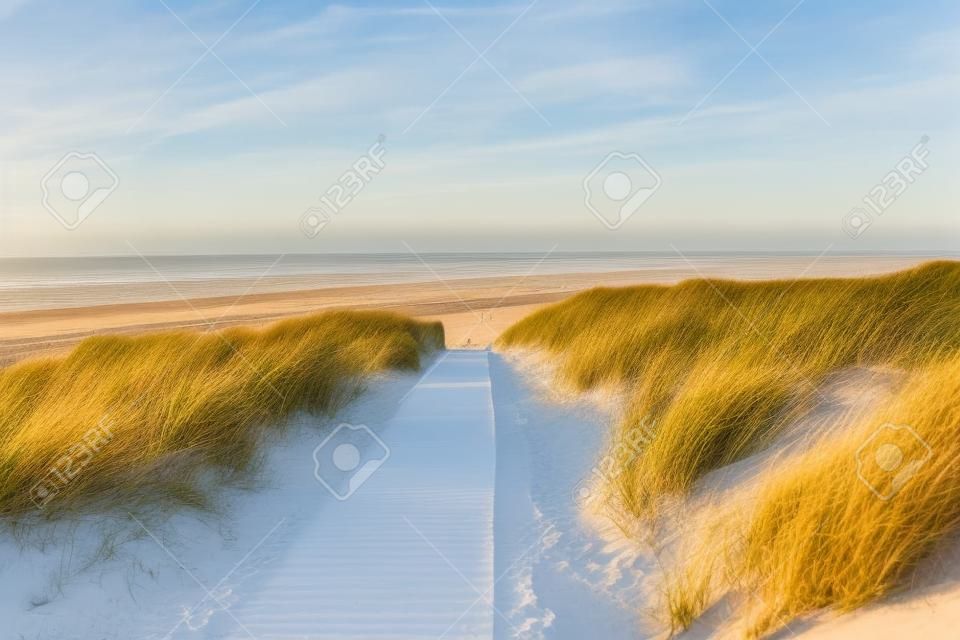 Pfad zum Strand auf Langeoog durch die Dünen mit der Nordsee im Hintergrund