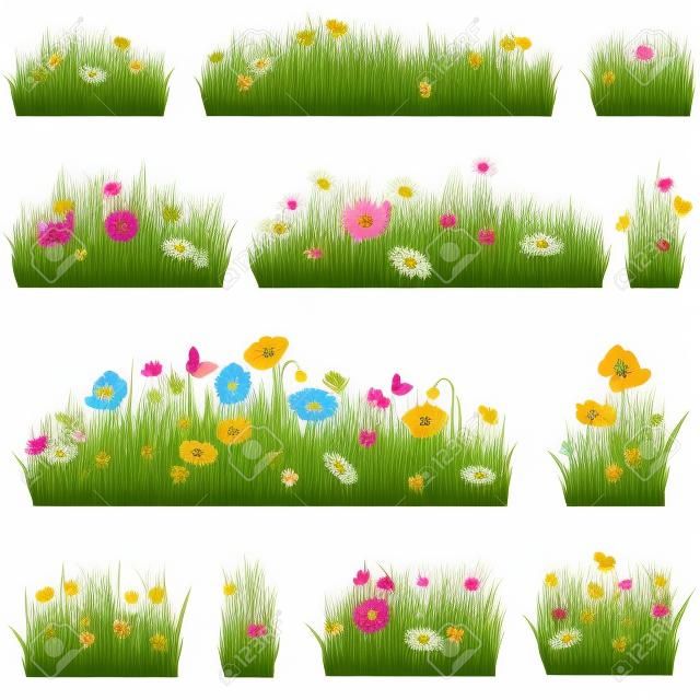 Grass background set Yaz çiçek sınır toplama Doğa simgeleri
