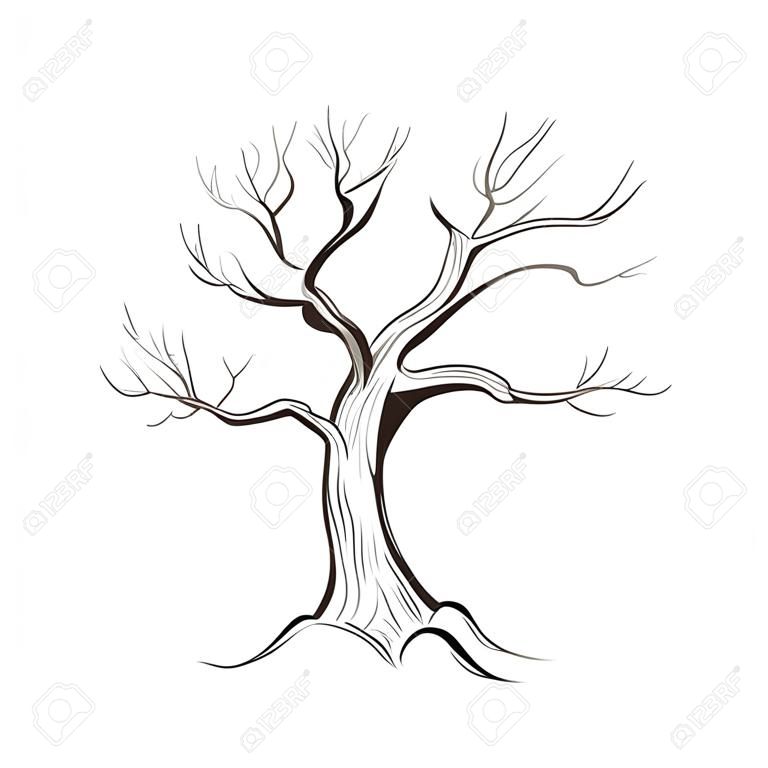 Drzewo bez liści izolowane. Charakter szkic wektora szkicu