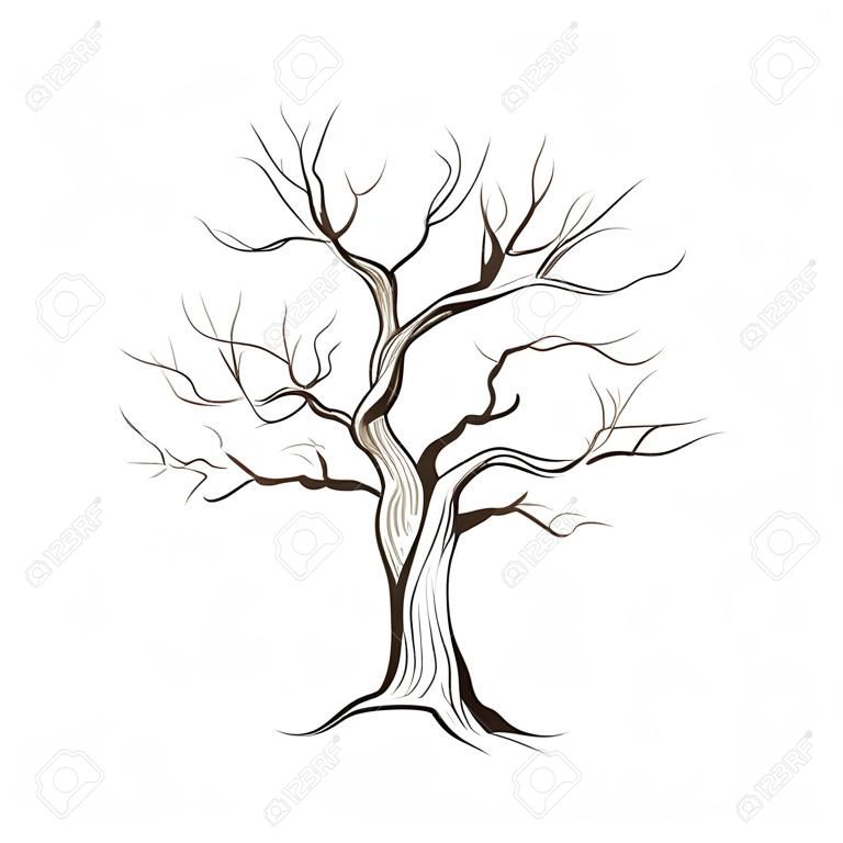 Drzewo bez liści izolowane. Charakter szkic wektora szkicu