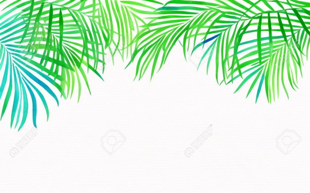 Watercolor painting frame tropical leaves coconut,palm,green leaf on white background.Watercolor hand drawn illustration tropical exotic leaf card or design,wedding invitation,posters or save the date