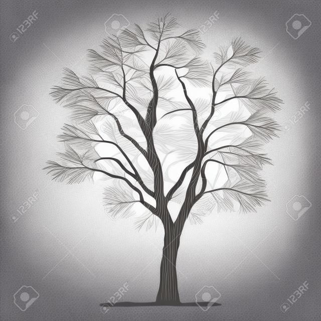 vector drawing of the tree - detailed vector