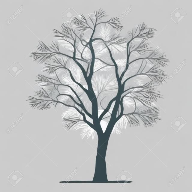 vectortekening van de boom - gedetailleerde vector