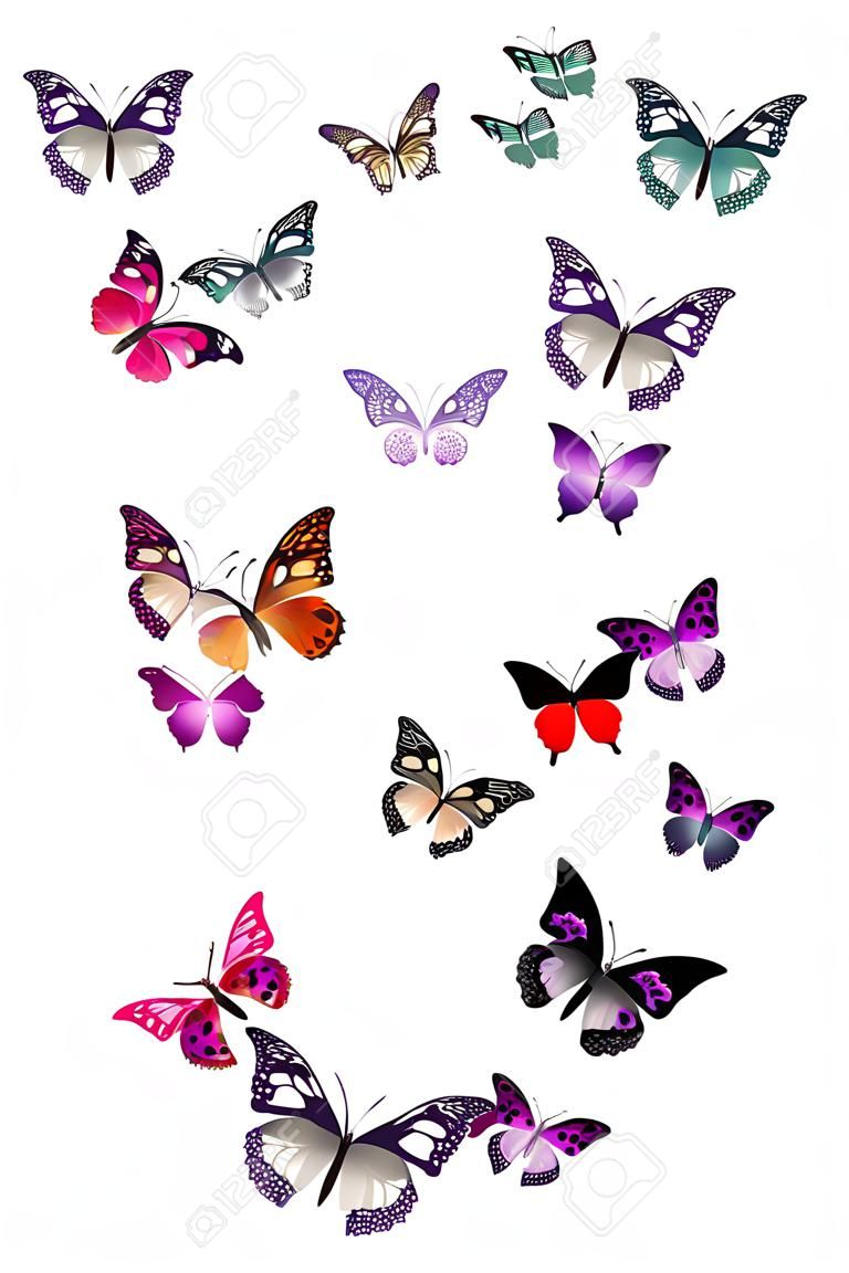 Butterfly font in white  Letter S