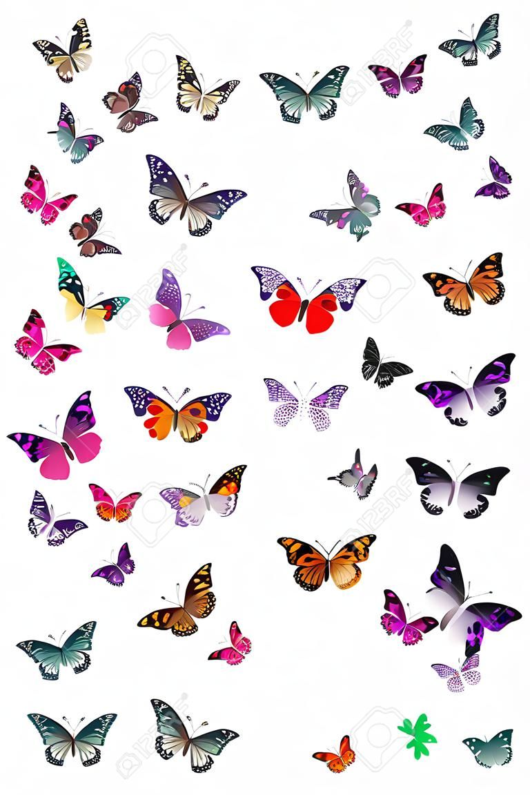 Butterfly font fehér Letter S