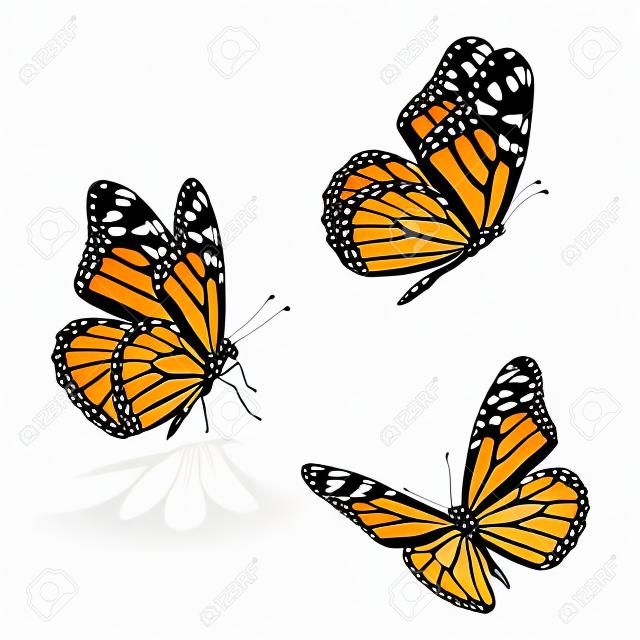 Mooie drie monarch vlinder, geïsoleerd op witte achtergrond