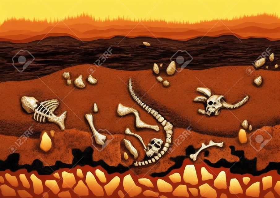 Soil layers with bones. Surface horizons with fossil reptile skeleton, upper layer of earth structure with mixture of organic matter, minerals. Buried lizard bones in dirt and underground clay layer