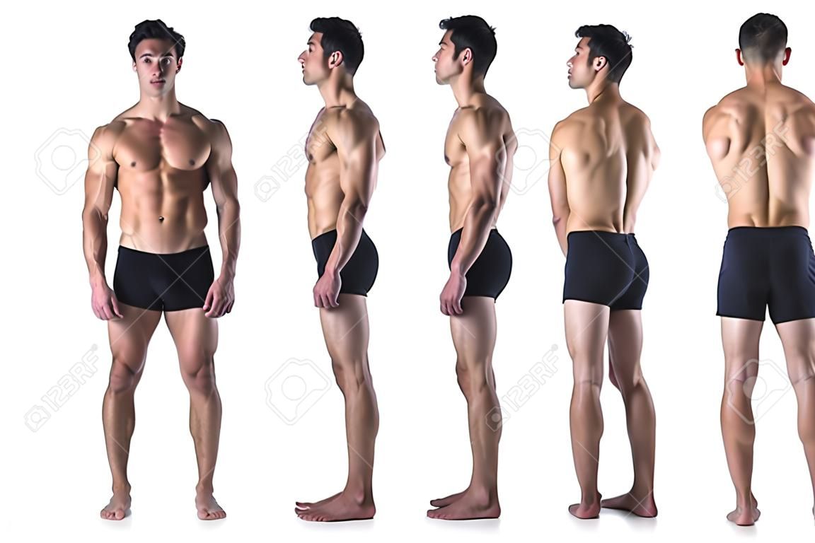 Three views of muscular shirtless male bodybuilder: back, front and profile shot, isolated on white background