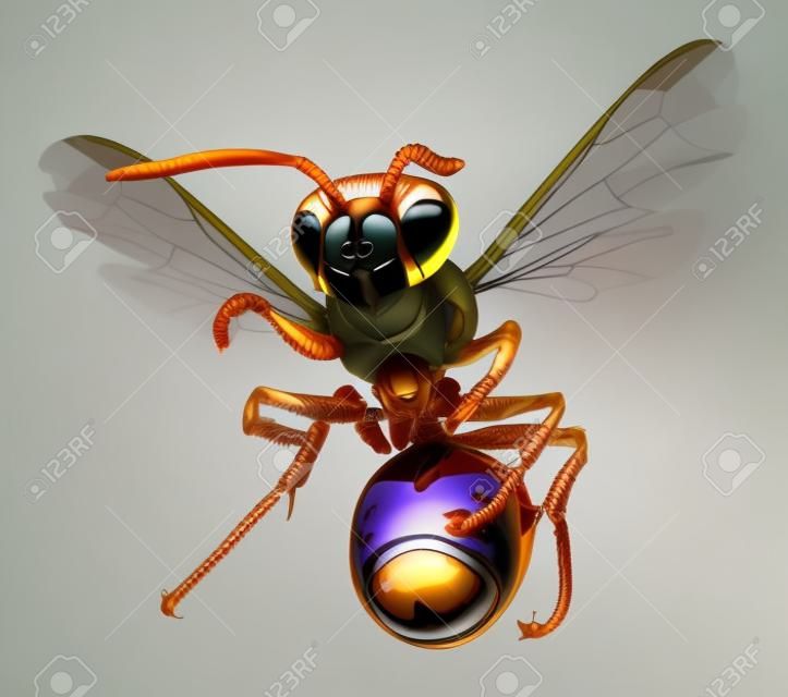 hornet isolated on white background.