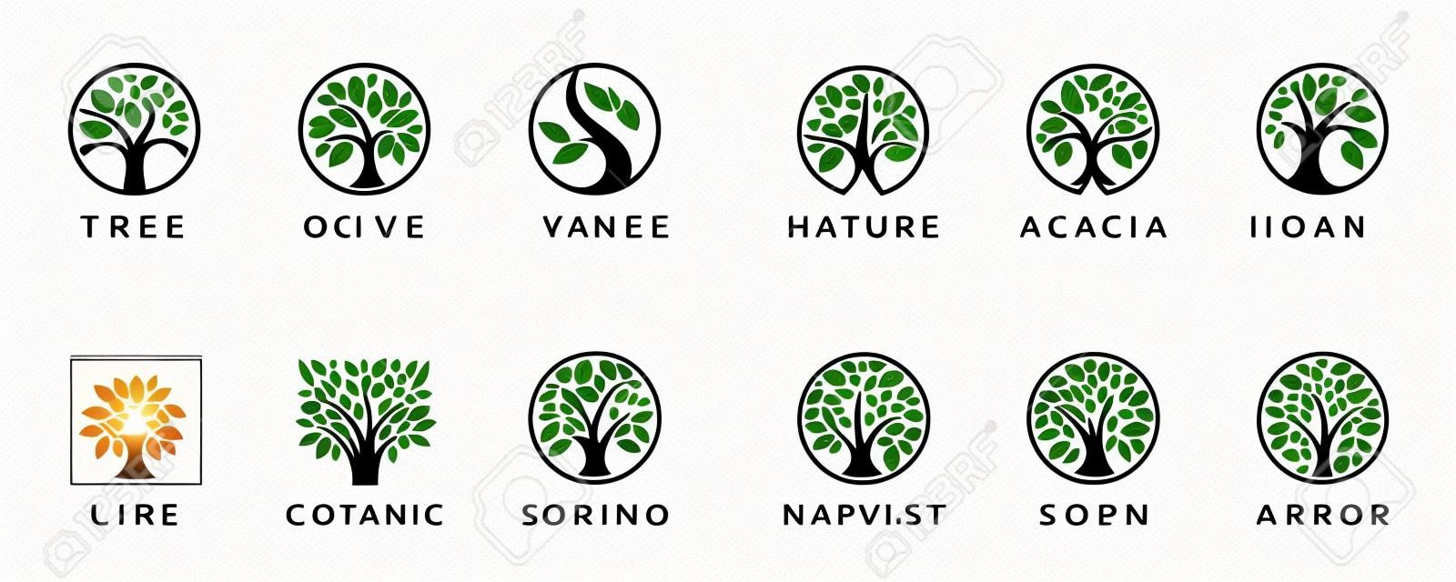 Abstract Tree of life logo icons set. Botanic plant nature symbols. Tree branch with leaves signs. Natural design elements emblem collection. Vector illustration.