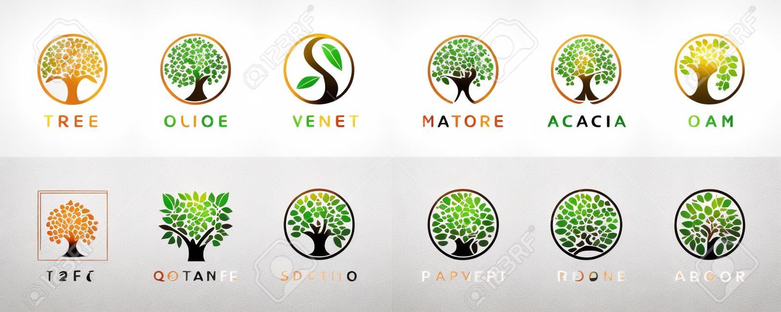Abstrakte Lebensbaum-Logo-Icons gesetzt. botanische Pflanzennatursymbole. Ast mit Blattzeichen. natürliche designelemente emblem sammlung. Vektor-Illustration.