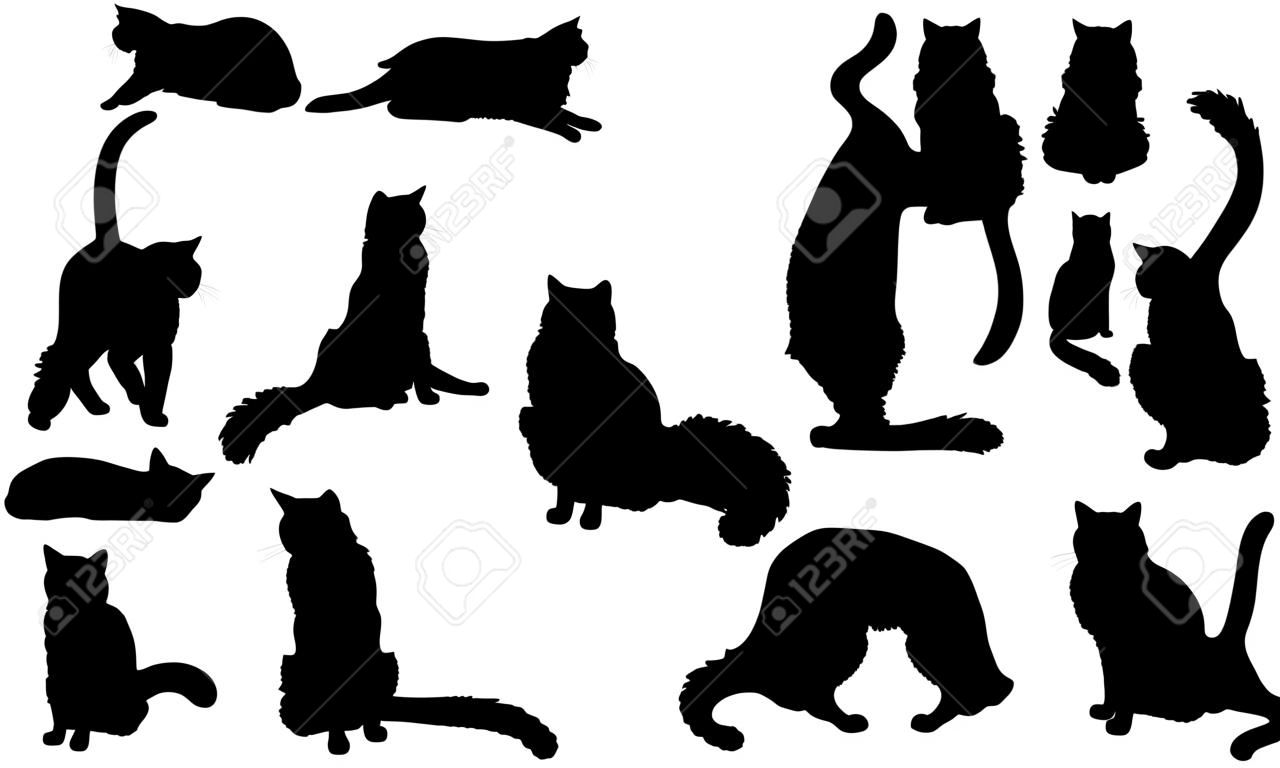 Illustration de silhouette de chat Ragdoll