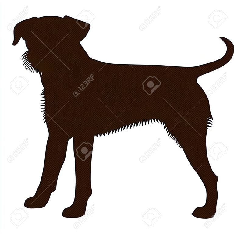 Border Terrier  Silhouette Vector