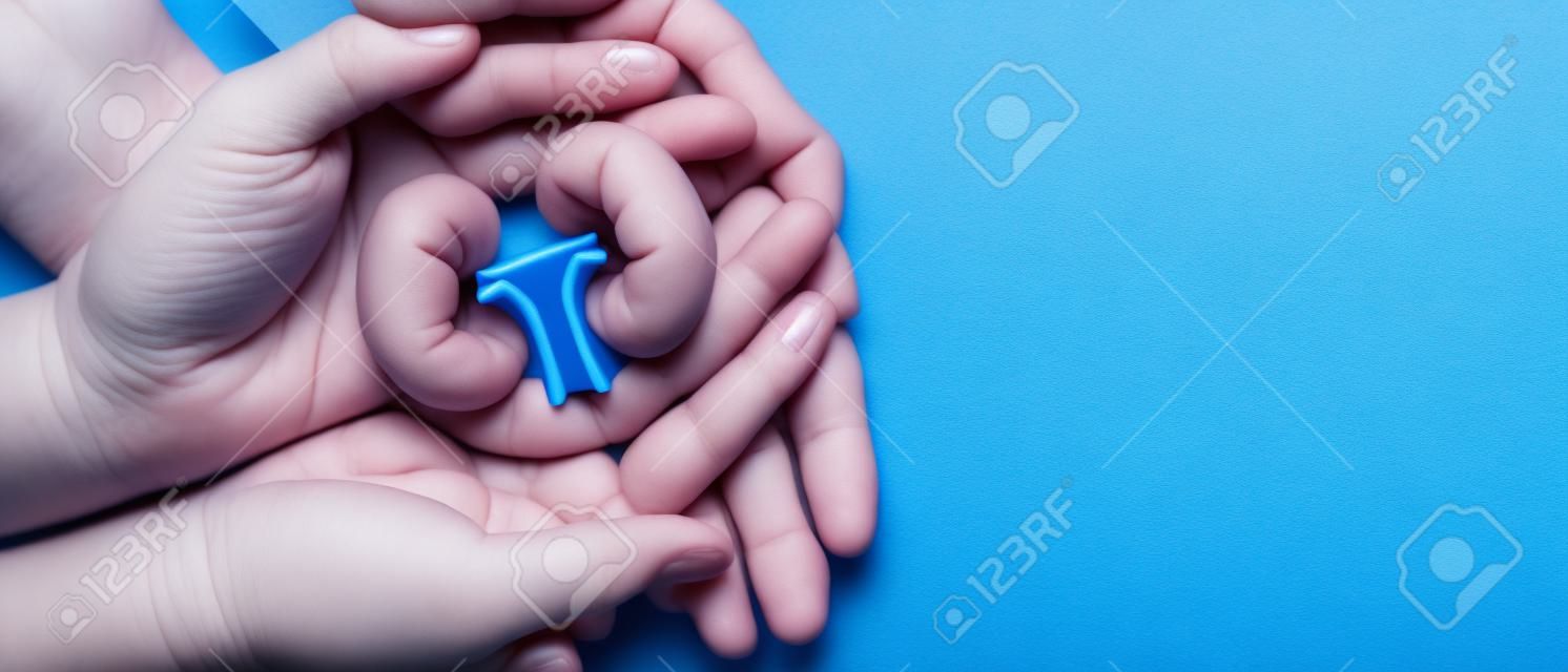 Adult and child holding kidney shaped paper on textured blue background, world kidney day, National Organ Donor Day, charity donation concept
