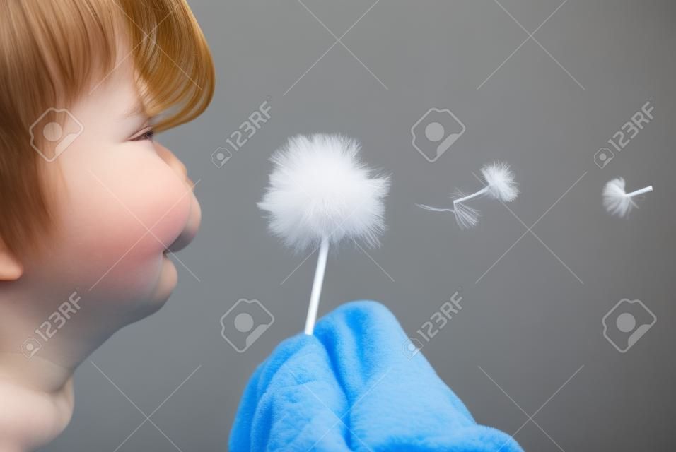 child and fresh blowball blow during the summer