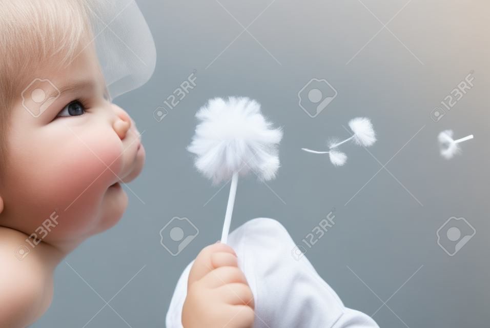 child and fresh blowball blow during the summer