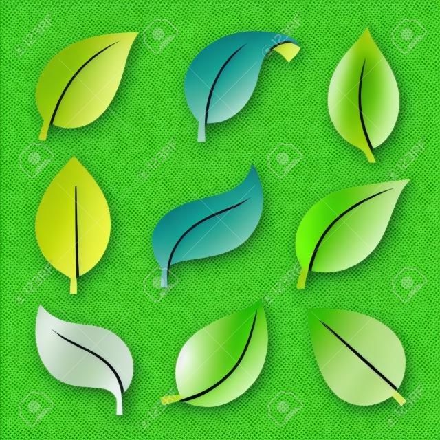 Eco green color leaf vector logo flat icon set. Isolated leaves shapes on white background. Bio plant and tree floral forest concept design.