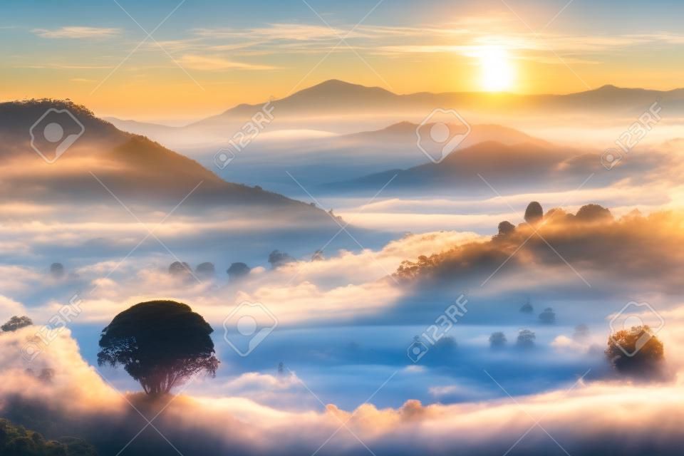 Panoramic beautiful Misty Morning with Beautiful Sunrise which clear blue sky in morning at Doi Mae Salong, Chiang Rai, Thailand. Generative AI