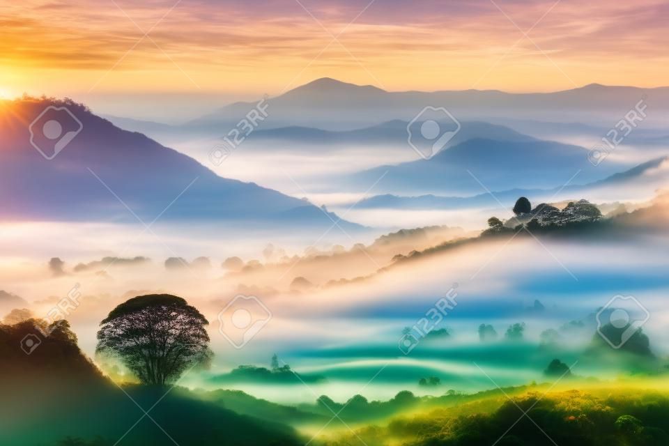 Panoramic beautiful Misty Morning with Beautiful Sunrise which clear blue sky in morning at Doi Mae Salong, Chiang Rai, Thailand. Generative AI