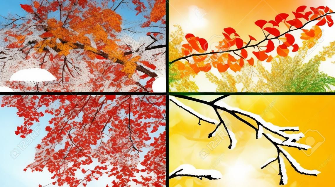 Four seasons collage with spring summer autumn winter tree