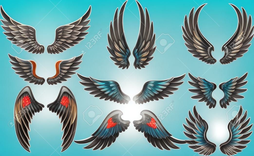 Cartoon wings collection set
