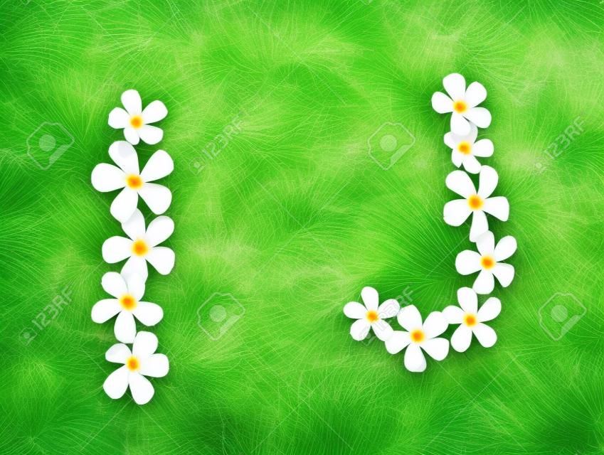 Fleurs tropicales blanc sur green grass I, J