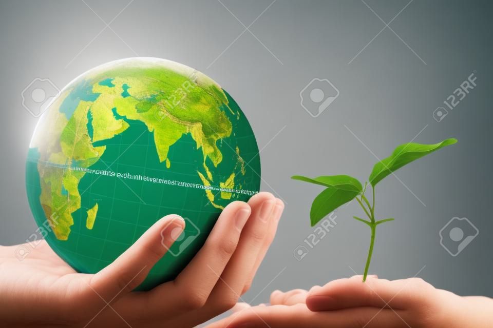 Hand holding the globe and having a small tree, concept of World Environment Day.