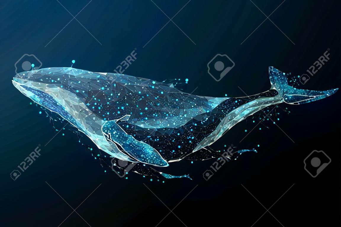 Синий кит, состоящий из многоугольника. Цифровая концепция морских животных. Низкая поли векторная иллюстрация звездного неба или Комос.