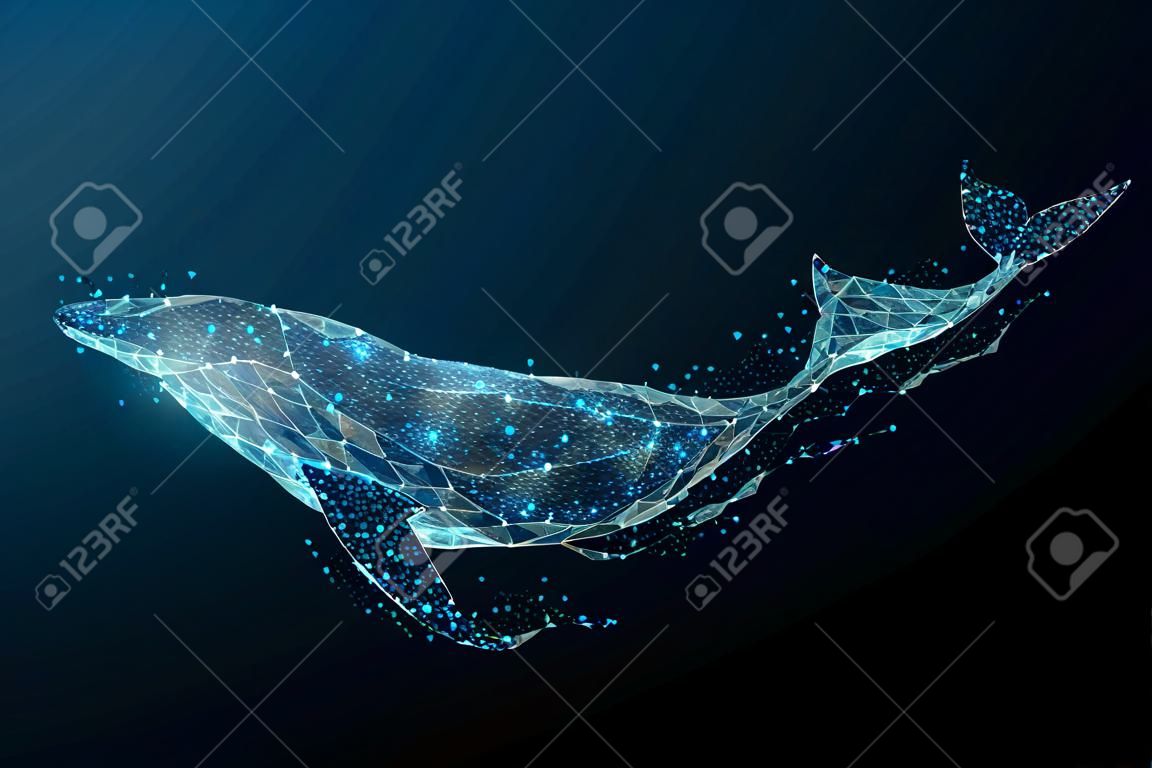 Синий кит, состоящий из многоугольника. Цифровая концепция морских животных. Низкая поли векторная иллюстрация звездного неба или Комос.
