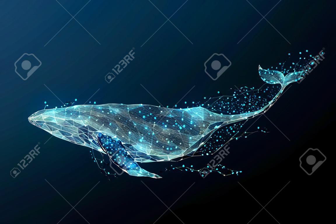 Baleia azul composta de polígono. Conceito digital de animais marinhos. Baixa ilustração vetorial poli de um céu estrelado ou Comos.
