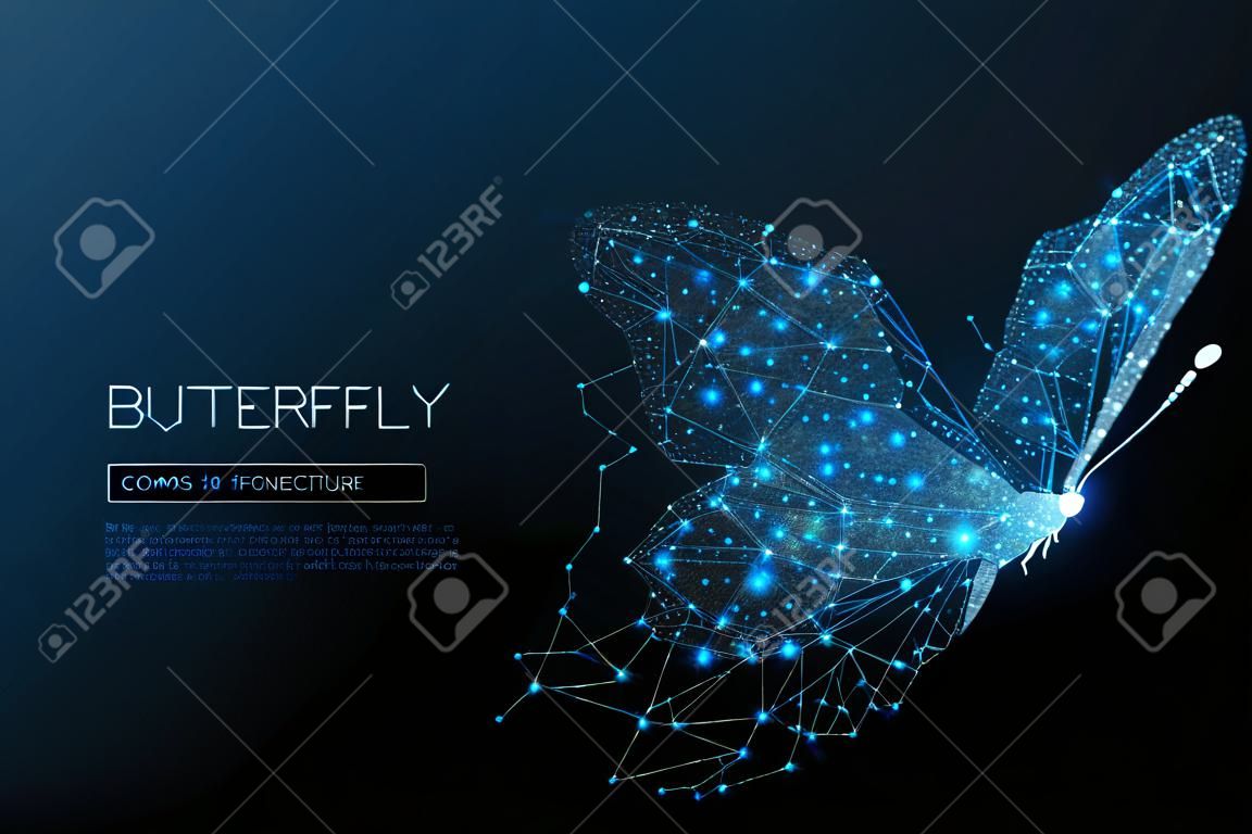 蝶は、多角形で構成されます。星空や Comos の低ポリ ベクトル イラスト。デジタル チラシは、線、点と図形で構成されます。ワイヤ フレーム技術光接続構造体。