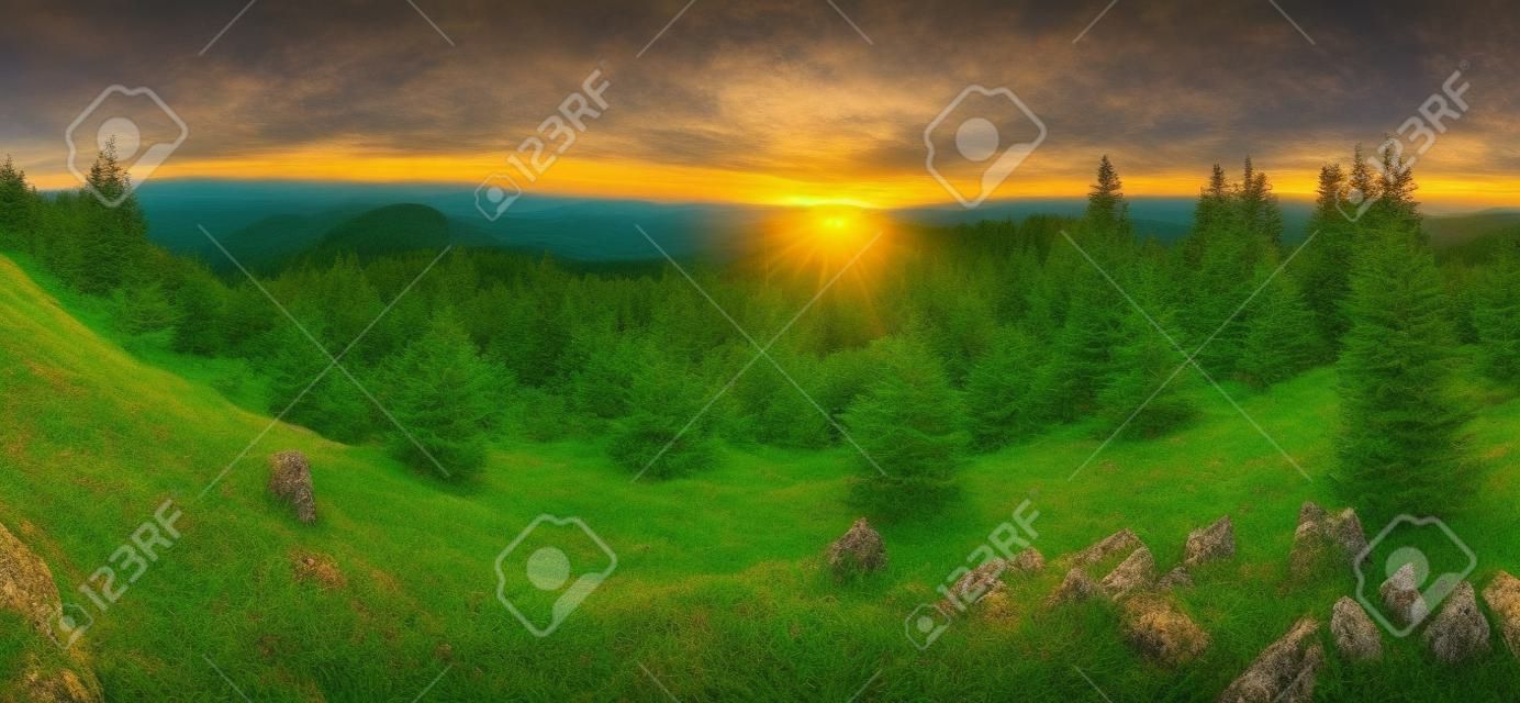 Spruce forest green mountain landscape panorama sunset, Slovakia.